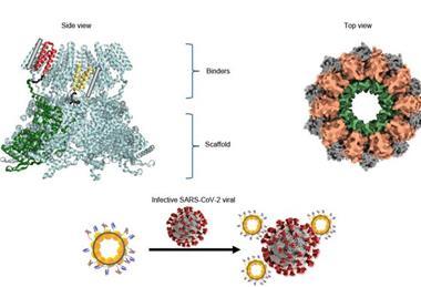 Low-Res_MultivalentProteinNanorings_Eng
