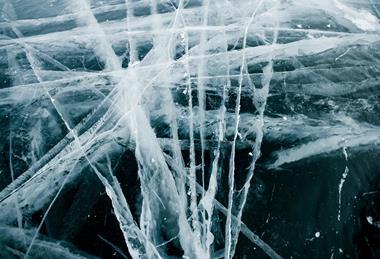 pexels-julia-volk-7100170