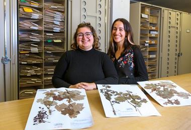 Low-Res_20241210 Almeida Lab_Herbarium-6168