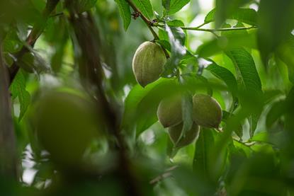 pexels-chris-f-38966-8427067