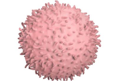 Low-Res_1.21+fragments_hero