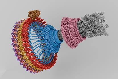 Flagellar motor assembly