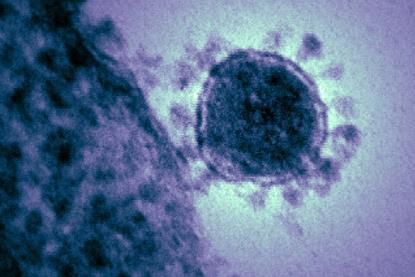 Middle_East_respiratory_syndrome-related_coronavirus