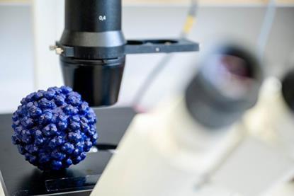 Low-Res_2024_04_17_KM_Hepatitis_E-2