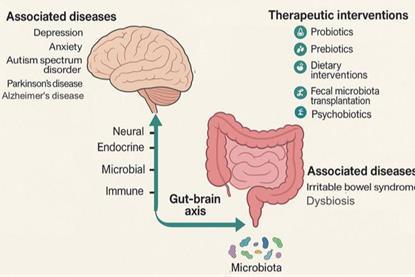 Low-Res_CMJCS_281_2_Picture3
