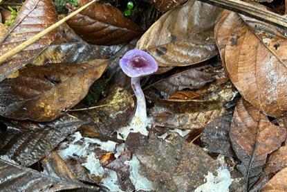Low-Res_2024-05-01 12.43.06