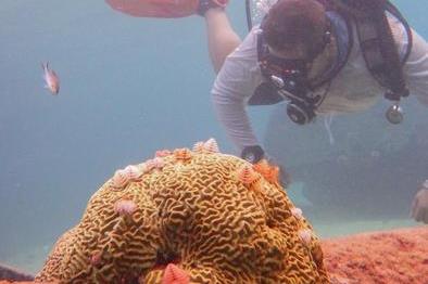 Low-Res_Imatge8, (1)