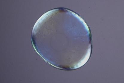 Low-Res_Birefringent film