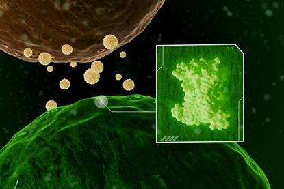 Low-Res_26-G00401-ChitinBiosensor-graphic-pcg-v6_Philip Gray