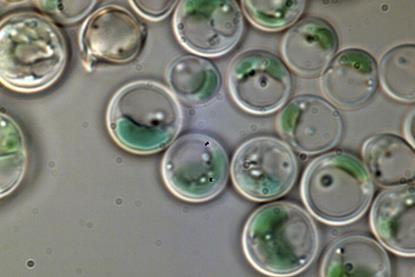 41467_2023_40657_Fig1d