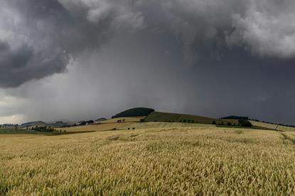 pexels-keith-proven-152665315-12248016