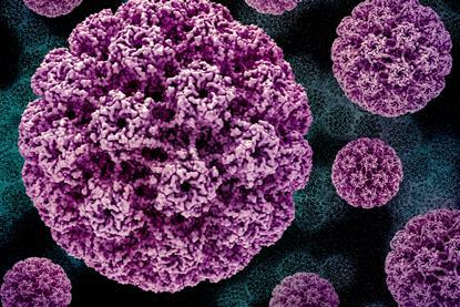 Human_Papillomavirus_(HPV)