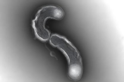 Low-Res_Thrash-SAR11-USC_Dornsife