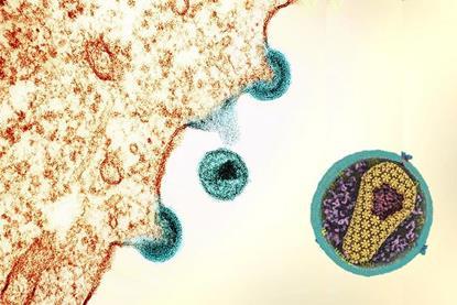 Replicating HIV capsid