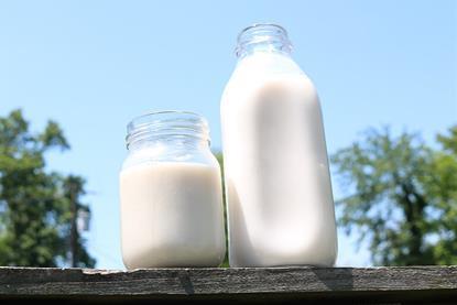 Raw_Milk_in_containers