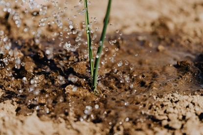 pexels-karola-g-4207907