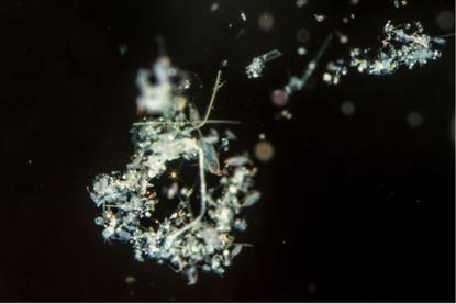 Low-Res_Picture 1