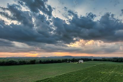 pexels-tomfisk-27404507