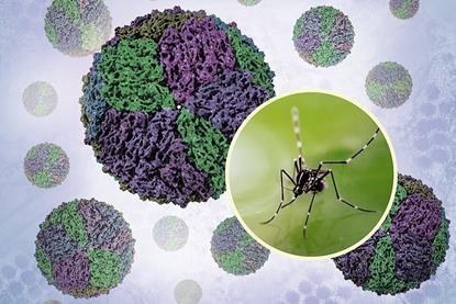 Aedes_Mosquito_and_Renderings_of_Dengue_Virions
