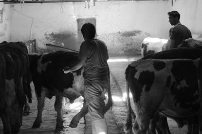 pexels-yavuz-selim-korku-497065016-34003110