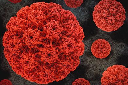 HumanPapillomavirus