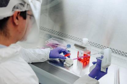 Low-Res_UTHSC Brain on a Chip Lab Work