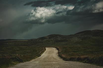 pexels-timmossholder-24703277
