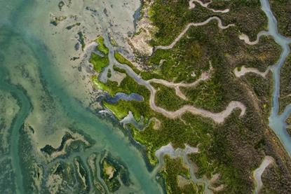 pexels-florian-gobert-1851911468-28884900