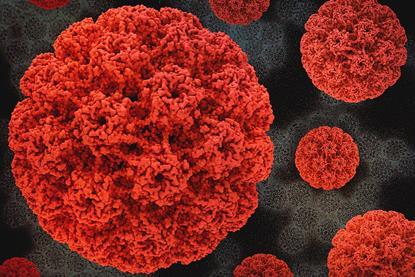 HumanPapillomavirus