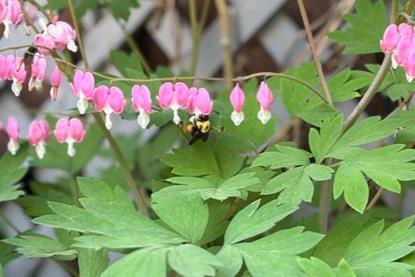 Low-Res_IMG_3964