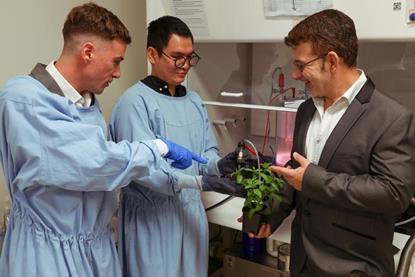 Low-Res_A mint idea Dr Andrew Hayes,  PhD candidate, Trong Quan Luu and Professor Vasilev in the lab with some mint