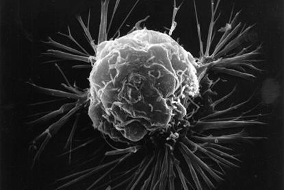 Breast_cancer_cell_(2)