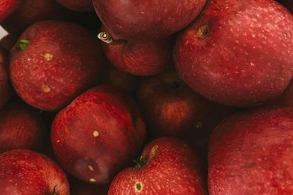 pexels-kpaukshtite-10520134