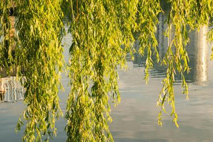 pexels-taraschuiko-12265352