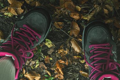 pexels-ana-dolidze-70590853-29005665