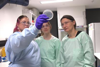 (L-R) Siobhonne Breen, Dominika Fuhs, Cornelia Landersdorfer, with Pseudomonas aeruginosa in a petri dish