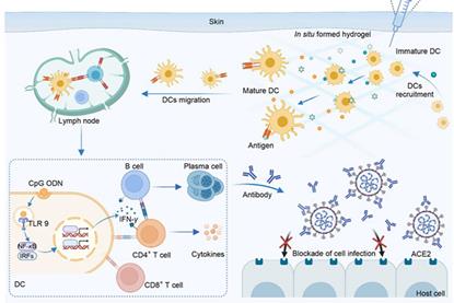 1-s2.0-S2211383525006112-ga1_lrg