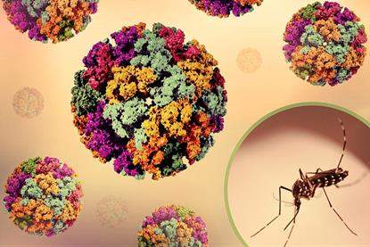 3D_renderings_of_and_Chikungunya_Virus_Capsids_and_an_Aedes_mosquito_photo_-_1