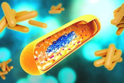 Low-Res_Michael April 1 TB Bacteria Illustration (CDC Image)