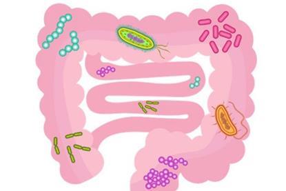 Low-Res_IICSA_28_2_Picture2