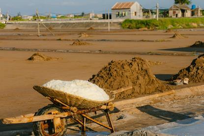 pexels-hson-27098281