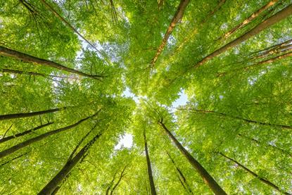 iStock-1659684092 (1)
