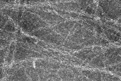 biofilm