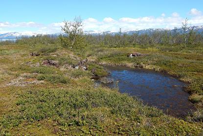 Permafrost_thaw_pond_Abisko