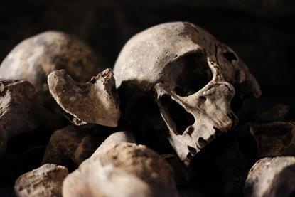 Skulls