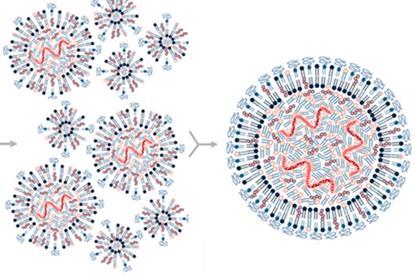 Vaccines-09-00065-g002.webp