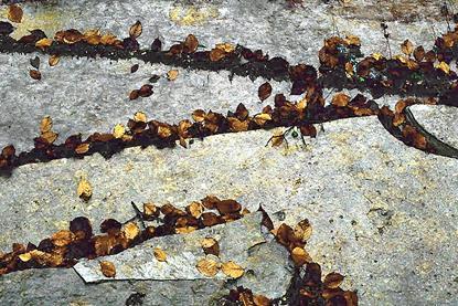 Irati,_otoño_1990_17
