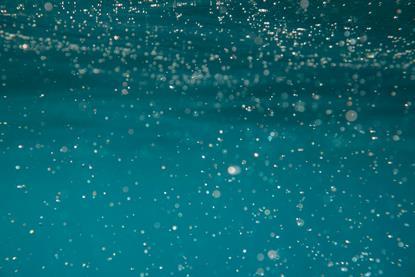 pexels-jess-vide-5008007