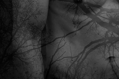 pexels-darya-grey_owl-132130036-18512771