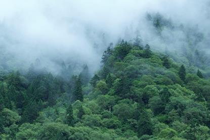 pexels-echoe-z-1049543472-27769296